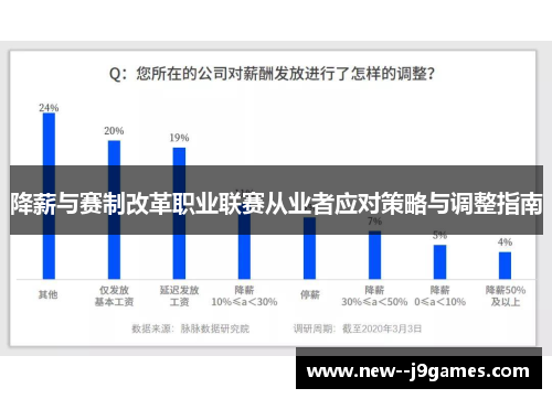 降薪与赛制改革职业联赛从业者应对策略与调整指南